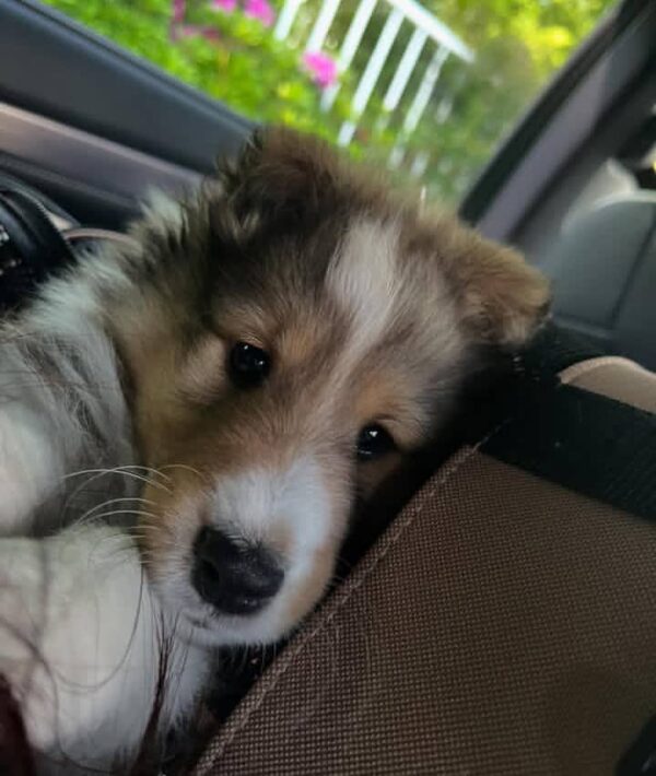 Max