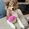 Molly