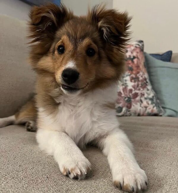 Molly